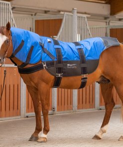 SWIT+ Horse Hybrid Blanket Set