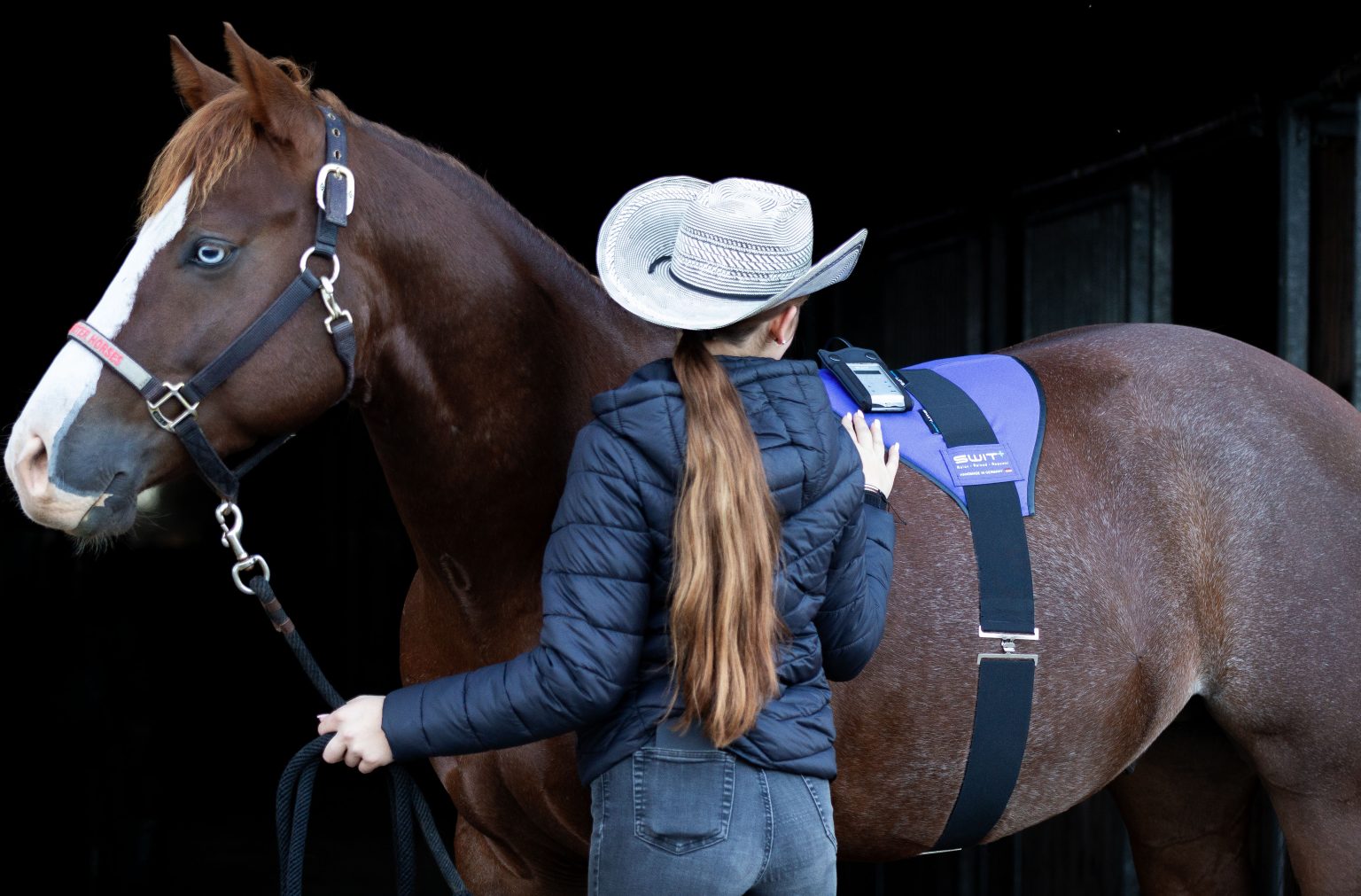 SWIT Neurobalance Solutions for Horses